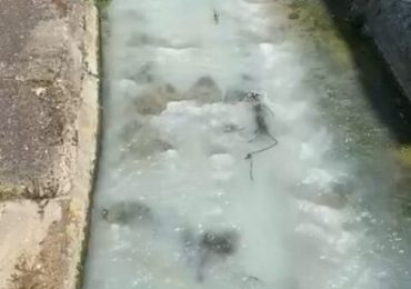 <b>ACQUA</b> BIANCASTRA NEL FIUME IRNO, IL PLAUSO DEL SINDACO DI SALERNO AI CC ...
