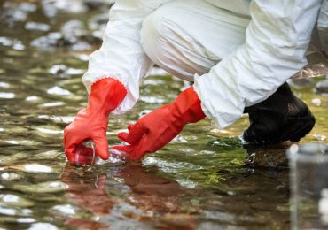 Crisi idrica: la trielina gioca a nascondino nel torrente Tora - Basilicata24