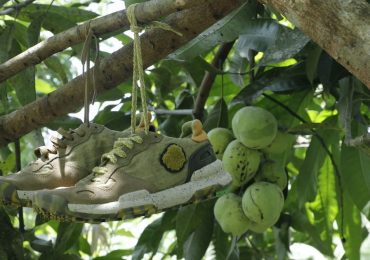 Rispetto per l'ambiente: 4 aziende impegnate (davvero) nella sostenibilità - Style Magazine