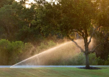 <b>Acqua</b>, un bene prezioso: come irrigare senza sprecare - Villegiardini