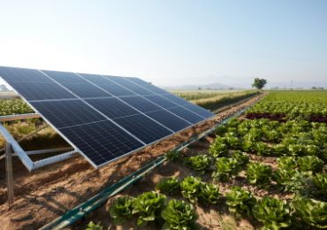 GREEN FAIR: A Bari la prima edizione di Green Fair – Agorà delle Energie Rinnovabili Dal ...