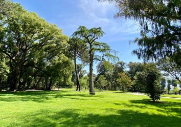 Riaperta la più preziosa area del Real Bosco di Capodimonte dopo il restauro | Sky Arte