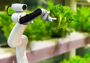 Il vertical farming in Italia conviene? Investimenti e startup modello - QuiFinanza