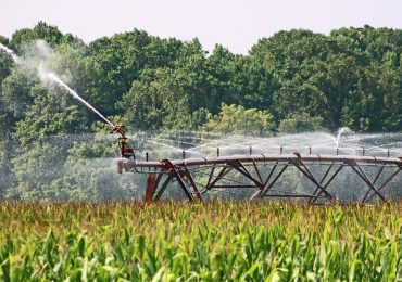 Irrigazione, fermo impianti dal 5 luglio - Lazio TV
