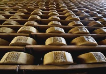 Energia pulita e meno sprechi: la rivoluzione sostenibile nei caseifici italiani - Telenord.it