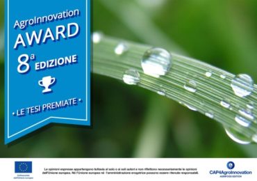 Soia e carenza idrica: strategie per il monitoraggio - Agronomia - AgroNotizie