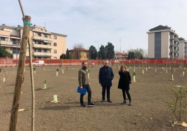 Un nuovo bosco urbano in via Einaudi alla Veggioletta: lavori di riforestazione - Libertà