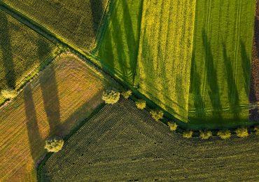 Uncai. Rimodulazione Feasr: un'occasione da non sprecare - Agricolae