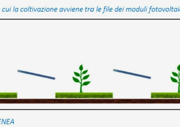 Agrivoltaico e PAC: la nota MASAF e il nodo dei “Tipo 2” - Ecquologia