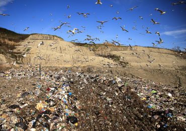 Perchè paghiamo di più per <b>acqua</b> e rifiuti: l'intervento del Comitato per la trasparenza