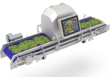 "La categoria dell'ortofrutta già tagliata continua a crescere in Europa, Stati Uniti e Asia"