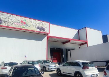 Prima linea di selezione per le ciliegie nella Valle del Jerte in Spagna - FreshPlaza