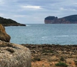 Arrivano i Giganti Eolici il Mare di Capo Caccia Interdetto per 2 Mesi - Alghero - Virgilio