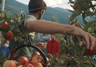 Consorzio Melinda: il Viaggio delle Mele con la Funivia - Agenfood