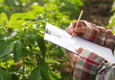 Fondo Innovazione Agricoltura: +47 milioni per gli esclusi 2024 - Floraviva