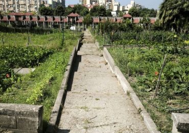 World Cleanup Day Italia 2025 a Napoli: l'inaugurazione parte da Ponticelli, tra cura dell ...