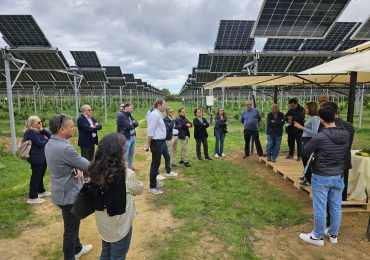 l'Agrivoltaico Innovativo dell'Azienda Martilotti, Hub Strategico per lo Sviluppo Rurale Calabrese