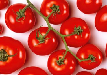 Salmonella e pomodorini siciliani, il ministero della Salute: come proteggersi dal rischio