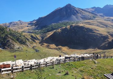 Valli Maira e Grana, conclusi 12 interventi in agricoltura: oltre 2 milioni investiti - Targatocn.it
