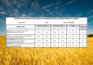 Grano duro, continua la lieve crescita (+2 euro/t) a Borsa Merci Foggia (22 ottobre). Il Fino vale ...