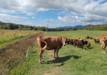 Un'associazione per l'agricoltura rigenerativa - Economia e politica - AgroNotizie