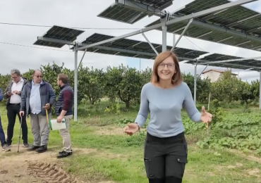 Agrumi e pannelli, la nuova alleanza del sole calabrese | VIDEO