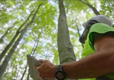 Entro il 2029 serviranno oltre 2 milioni di lavoratori con competenze green - QuiFinanza
