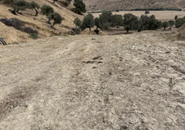 Emergenza idrica: ordinanza a Vallefoglia per ridurre gli usi non essenziali - Youtvrs