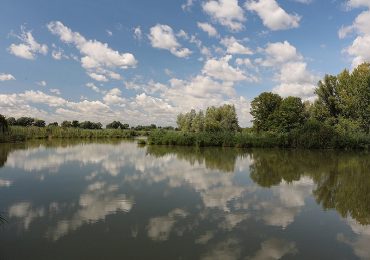WWF Lombardia - prende posizione rispetto a Coldiretti Pavia - Il Punto Pavese