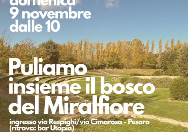 Ripuliamo insieme il bosco del Miralfiore - Comune di Pesaro