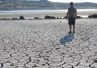 La Nurra senz'<b>acqua</b>: il Centro studi agricoli riunisce imprese e istituzioni - L'Unione Sarda.it